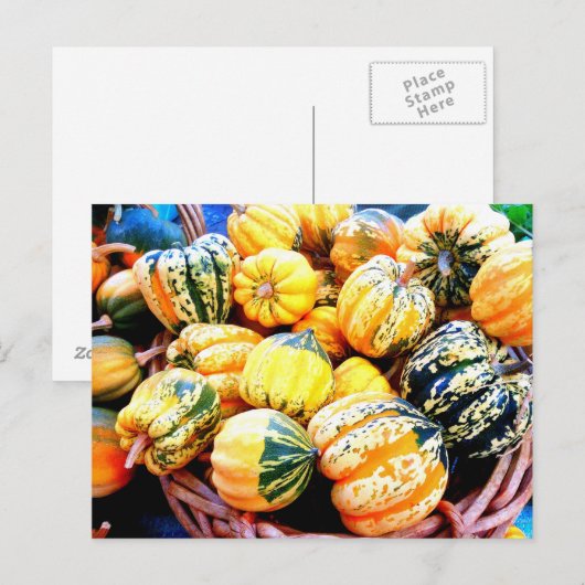 Fall Squash Briefkaart (Voorkant / Achterkant)