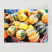 Fall Squash Briefkaart (Voorkant)