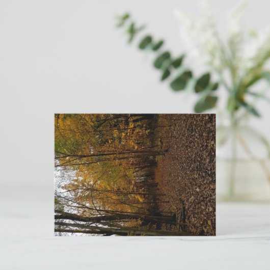 Fall Trees at Sunset Taylor Michigan Postcard Feestdagenkaart (Staand voorkant)