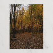 Fall Trees at Sunset Taylor Michigan Postcard Feestdagenkaart