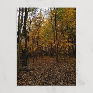 Fall Trees at Sunset Taylor Michigan Postcard Feestdagenkaart