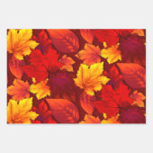 Fall verlaat alle gelegenheden inpakpapier vel (Voorkant)