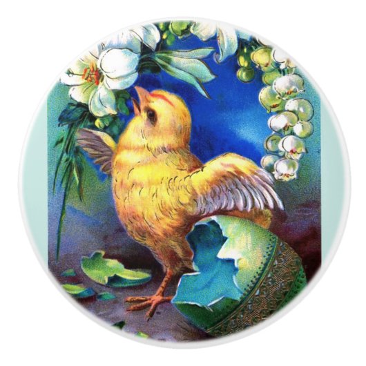 Falla Happy Easter Chick Keramische Knop (Voorkant)
