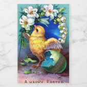 Falla Happy Easter Chick Voedselcontainer Etiket (Enkel label)