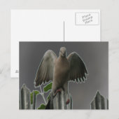 Fallen Angel Dove Briefkaart (Voorkant / Achterkant)