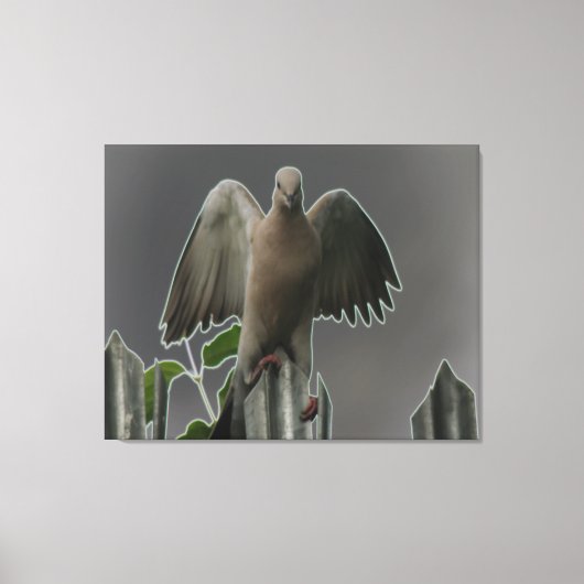 Fallen Angel Dove Canvas Print (Voorkant)