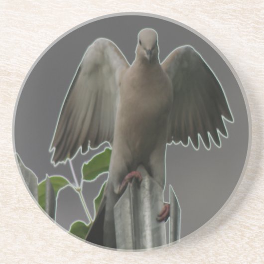 Fallen Angel Dove Onderzetters (Voorkant)
