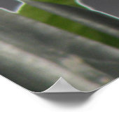 Fallen Angel Dove Print (Hoek)