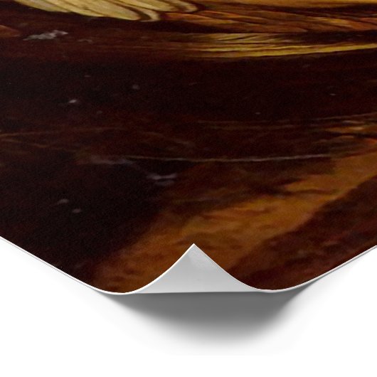 Fallen Angel Poster (Hoek)