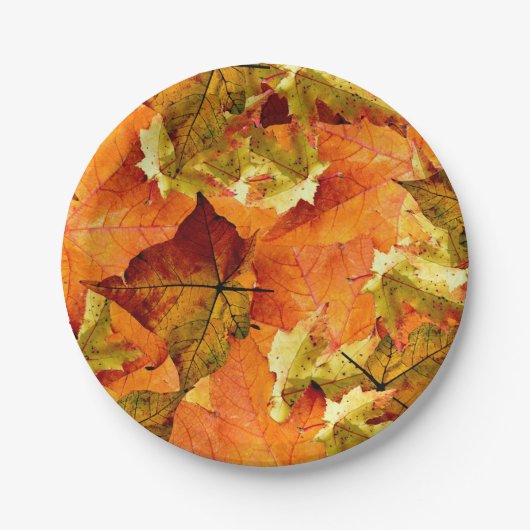 Fallen Autumn Leaves Papieren Bordje (Voorkant)