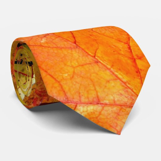 Fallen Autumn Leaves Stropdas (Opgerold)