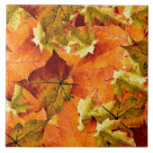Fallen Autumn Leaves Tegeltje (Voorkant)