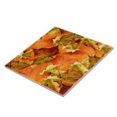 Fallen Autumn Leaves Tegeltje (Zijkant)