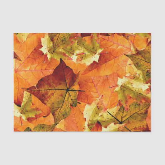 Fallen Autumn Leaves Tissuepapier (Voorkant)