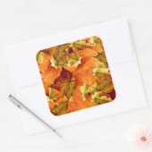 Fallen Autumn Leaves Vierkante Sticker (Envelop)