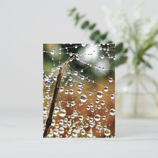 Fallen Fence Covered in Dew, Spider Web Briefkaart (Staand voorkant)