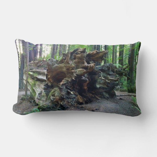 Fallen Giant Redwood Sequoia Tree Kussen (Voorkant)