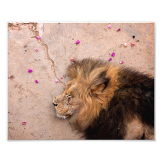 Fallen King Foto Afdruk