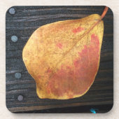 Fallen Leaf Bier Onderzetter (Voorkant)