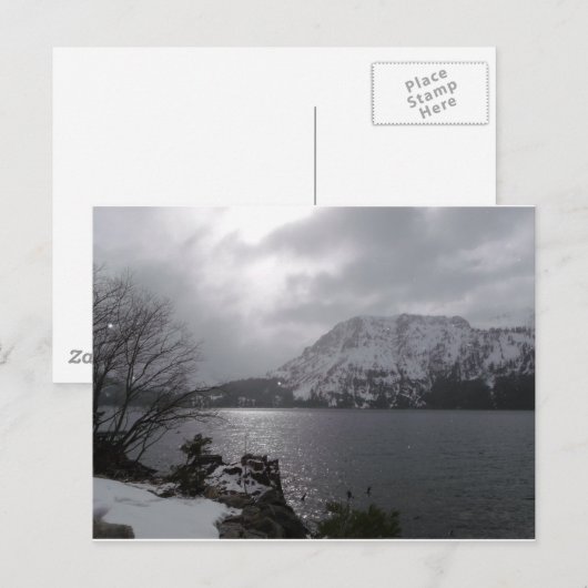 Fallen Leaf Lake Briefkaart (Voorkant / Achterkant)