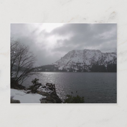 Fallen Leaf Lake Briefkaart (Voorkant)