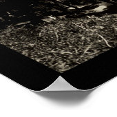 Fallen Leaf Lake Photo 1906 Poster (Hoek)