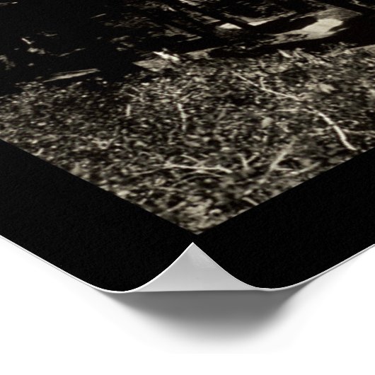 Fallen Leaf Lake Photo 1906 Poster (Hoek)