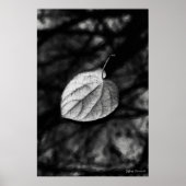 Fallen Leaf Poster (Voorkant)