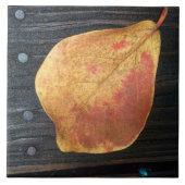 Fallen Leaf Tegeltje (Voorkant)