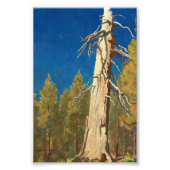 Fallen Leaf van Maynard Dixon Foto Afdruk (Voorkant)