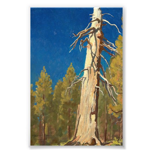 Fallen Leaf van Maynard Dixon Foto Afdruk (Voorkant)