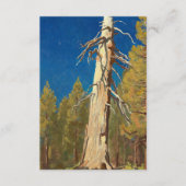 Fallen Leaf van Maynard Dixon Informatiekaartje (Voorkant)