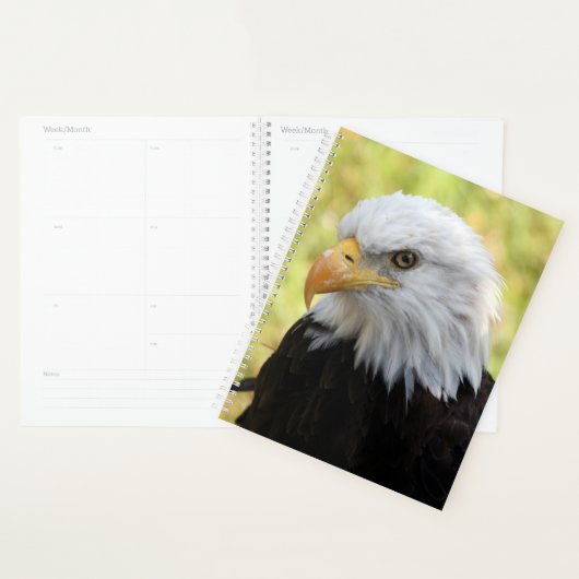 Fallen Liberty Planner (Display)