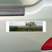 Fallen Soldier's Cross Bumpersticker (Op auto)