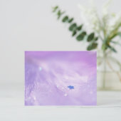 Fallen Star Briefkaart (Staand voorkant)