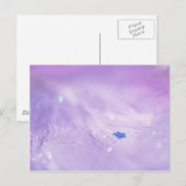 Fallen Star Briefkaart (Voorkant / Achterkant)