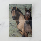 Fallen Star en zijn Mare Wild Horse Wenskaart Bedankkaart (Binnen)