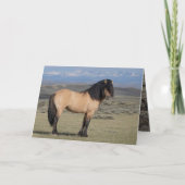 "Fallen Star in Front of the Wind River Mountains" (Voorkant)