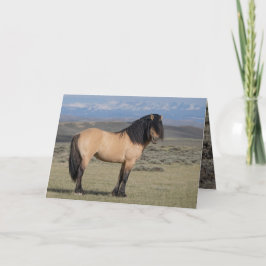 "Fallen Star in Front of the Wind River Mountains"