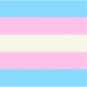 Fallen Trans Pride Flag Sticker (Voorkant)