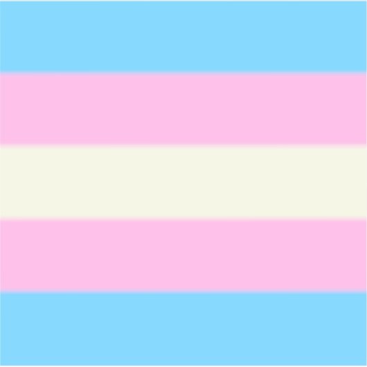 Fallen Trans Pride Flag Sticker (Voorkant)