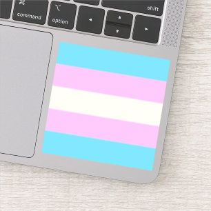 Fallen Trans Pride Flag Sticker