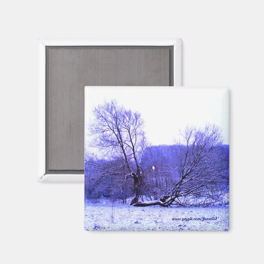 Fallen Tree Blue Magneet (Voorkant / Achterkant)