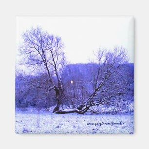 Fallen Tree Blue Magneet