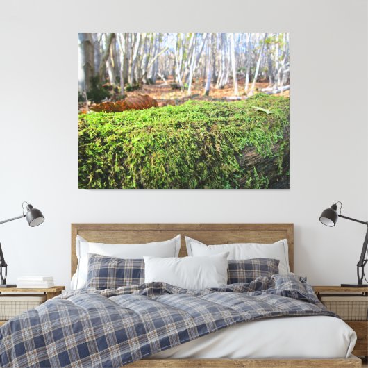 Fallen Tree in Autumn Moss - Canvas Afdruk (Insitu (Slaapkamer))