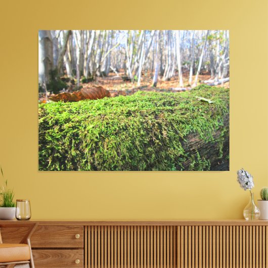 Fallen Tree in Autumn Moss - Canvas Afdruk (Insitu (Woonkamer))