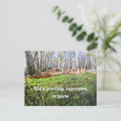 Fallen Tree in Autumn Moss - Personalised Briefkaart (Staand voorkant)