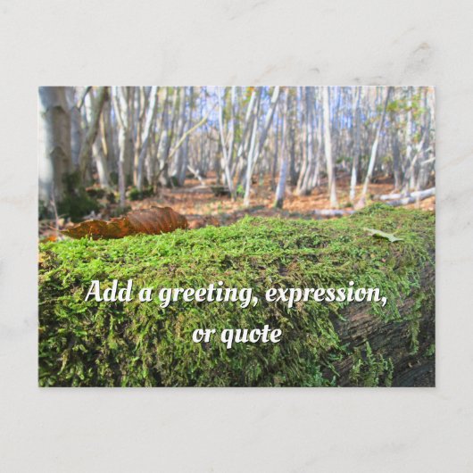 Fallen Tree in Autumn Moss - Personalised Briefkaart (Voorkant)