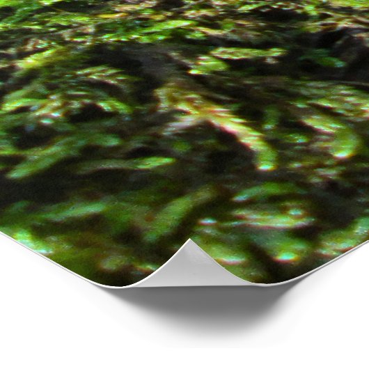 Fallen Tree in Autumn Moss - Personalised Poster (Hoek)