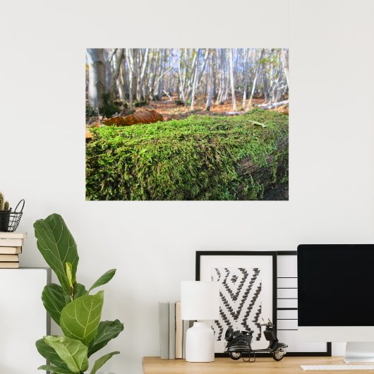 Fallen Tree in Autumn Moss  - Personalised Poster (Thuiskantoor)